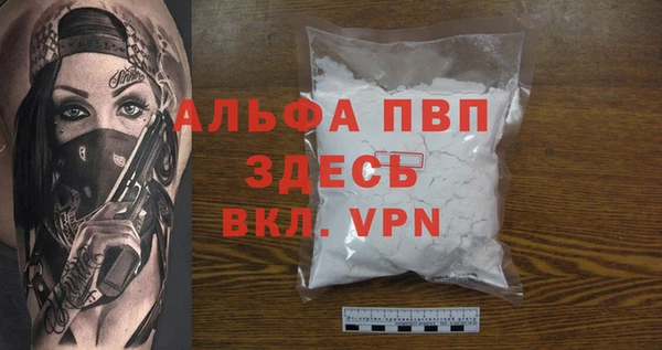стаф Кинешма